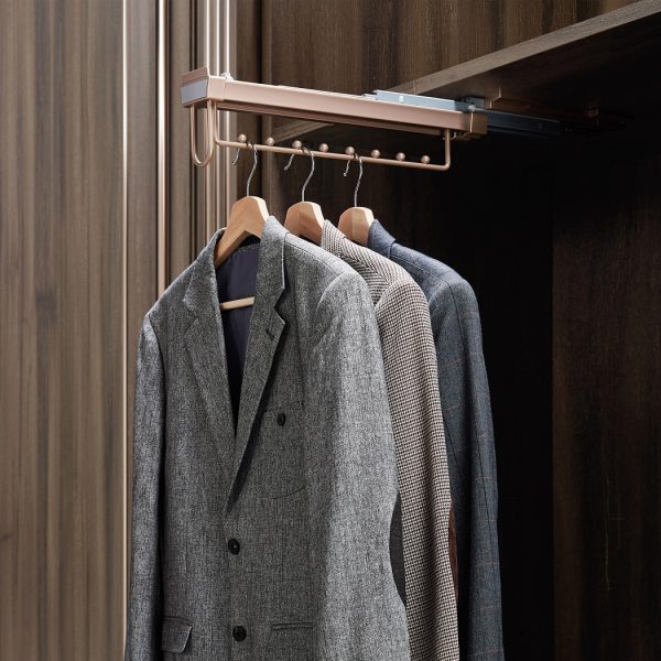 Violet Pull-out Clothes Hanger Rail with Pins